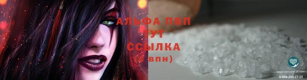 СК Абдулино