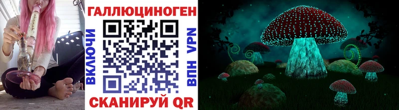 OMG ссылка  Берёзовка  Псилоцибиновые грибы Psilocybine cubensis 